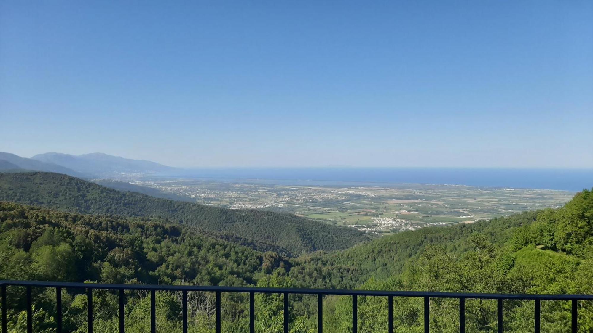 Gite La Fontaine Corse Loreto-di-Casinca ห้อง รูปภาพ