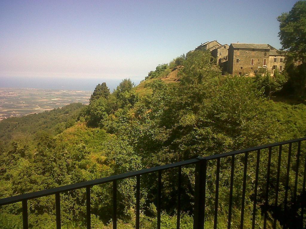 Gite La Fontaine Corse Loreto-di-Casinca ห้อง รูปภาพ
