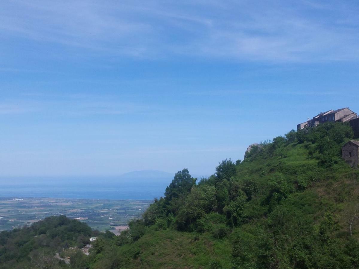 Gite La Fontaine Corse Loreto-di-Casinca ภายนอก รูปภาพ